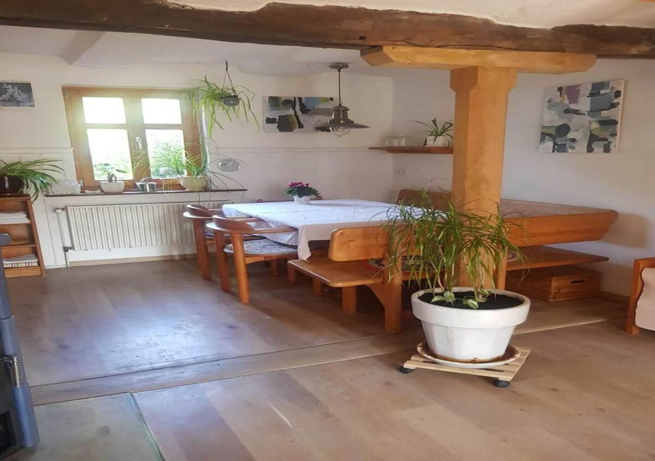 Aeltestes Haus In Quentel - Ferienwohnung 1 Mit Kleinem Garten Lichtenau Dış mekan fotoğraf